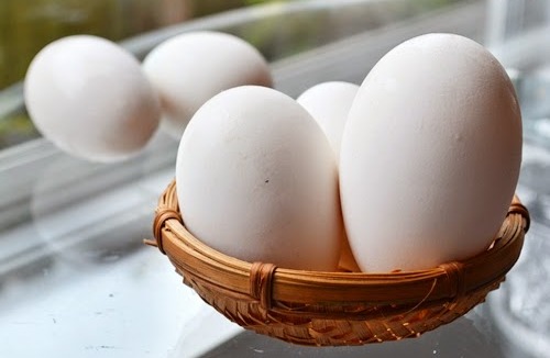 Trứng ngỗng2 Trứng ngỗng2