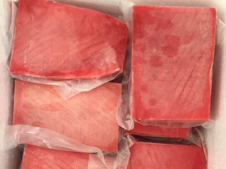 Cá ngừ sa ku Cá ngừ sa ku
