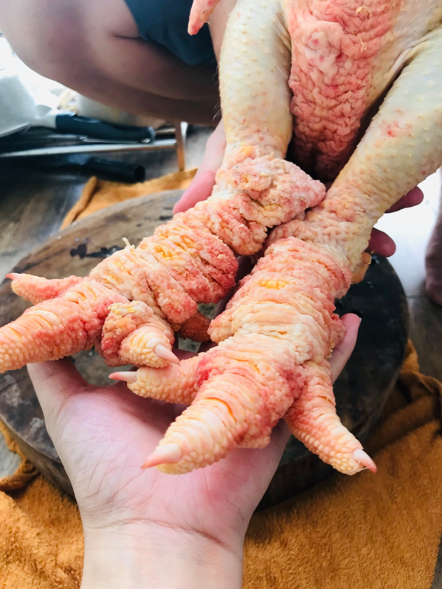 gà đông tảo chân size 8
