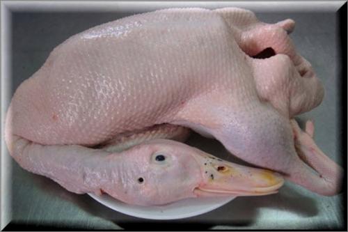 làm thịt vịt trời